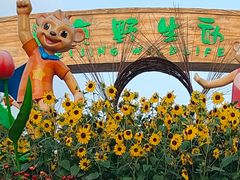 -北京野生动物园