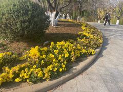 -南翠屏公园