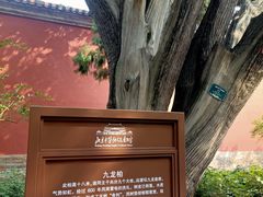 -北京市劳动人民文化宫(太庙)
