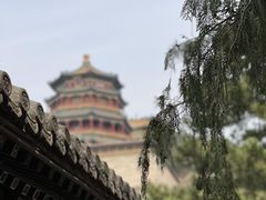 -颐和园