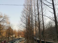 -白水寺森林公园