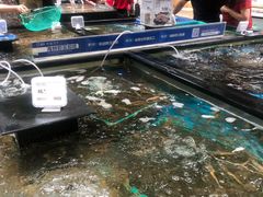 水产区-盒马鲜生(皇庭广场店)
