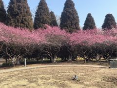 -白塘生态植物园