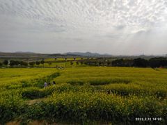 -光明小镇欢乐田园