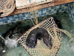 -九寨沟石锅鱼(沣峪口二十年店)