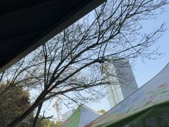 -久宴·天目湖大鱼头(恐龙园店)