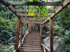 -大岭沟猕猴桃谷风景区