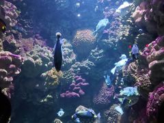 -海合安青岛极地海洋公园