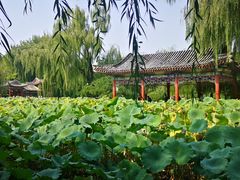 -沿途四季·云南菜(建外大街店)