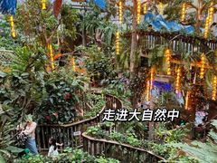 -正佳雨林生态植物园