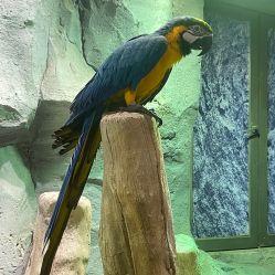 -Zoolung Zoolung动物主题公园(海信广场店)