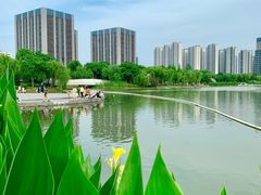 -南翔镇银翔湖公园