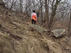 -大觉寺-停车场