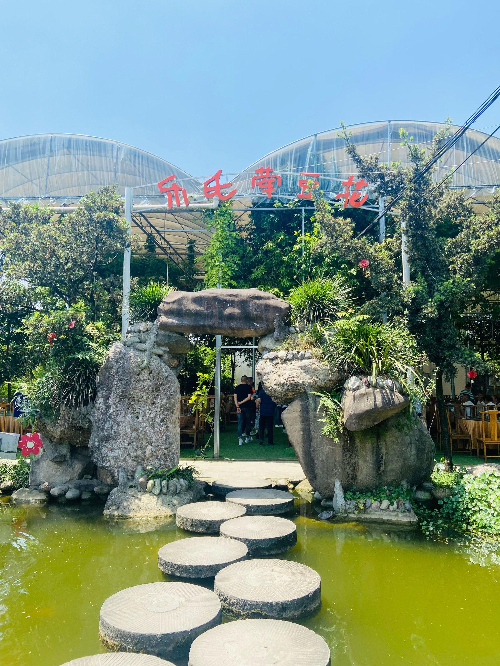 一片绿意盎然的好地方