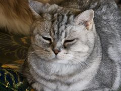 -平行世界·猫咖(首经贸店)