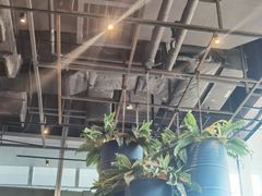 -Tanuki Raw(Orchard Central)