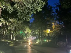 -成飞公园
