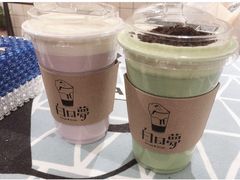 -白日梦奶茶