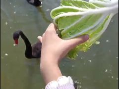 -无锡动物园·太湖欢乐园