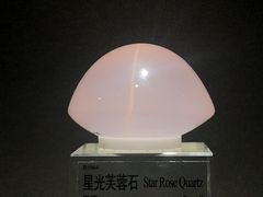 -中国地质博物馆