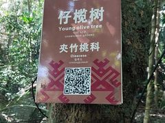 -七仙岭温泉国家森林公园