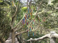 -宁波五龙潭景区