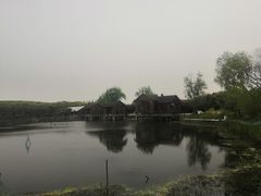 -同里国家湿地公园
