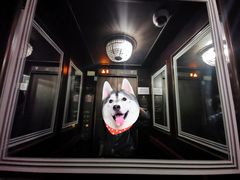 -罗斯福色戒酒吧(外滩店)