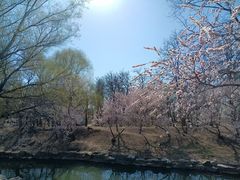 -团结湖公园