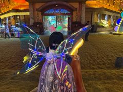 -郑州方特梦幻王国