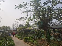 -苏记溪河鲢鱼庄(天府新区店)