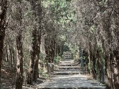 -浮来山风景区