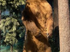 -陕西自然博物馆