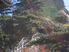-渔掌门(铁东店)