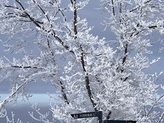 -中旅松花湖滑雪场