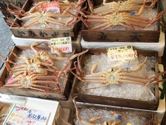 -城崎温泉 外七汤