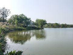 -上海长兴岛郊野公园