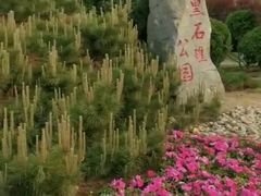 -黑石礁公园