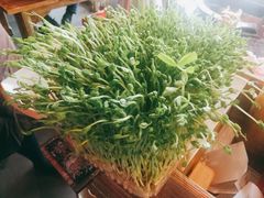 活体豆苗-蜀大侠火锅(森兰花园城店)