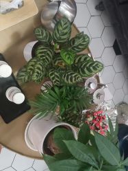 -木北造型
