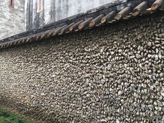 -碧江金楼
