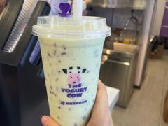 -一只酸奶牛(八一路店)