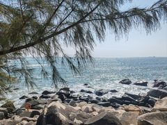 -广东惠东海龟国家级自然保护区