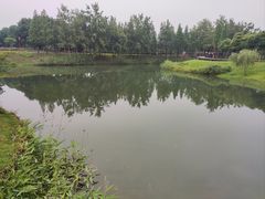 -眉山湿地公园(东坡区)