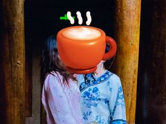 -广富林宰相府酒店·水云间