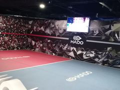 -VS SPORTS PARK运动玩乐园·团建·生日会(合生汇店)