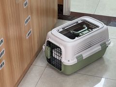 -瑞鹏宠物医院·夜间急症·心超·猫科(祖庙分店)