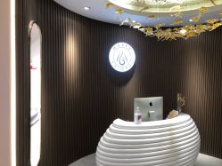 点击看大图 -MUSES专业脱毛比基尼サロン日式连锁