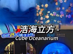 -成都浩海立方海洋公园
