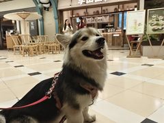-李山山茶事(景枫店)
